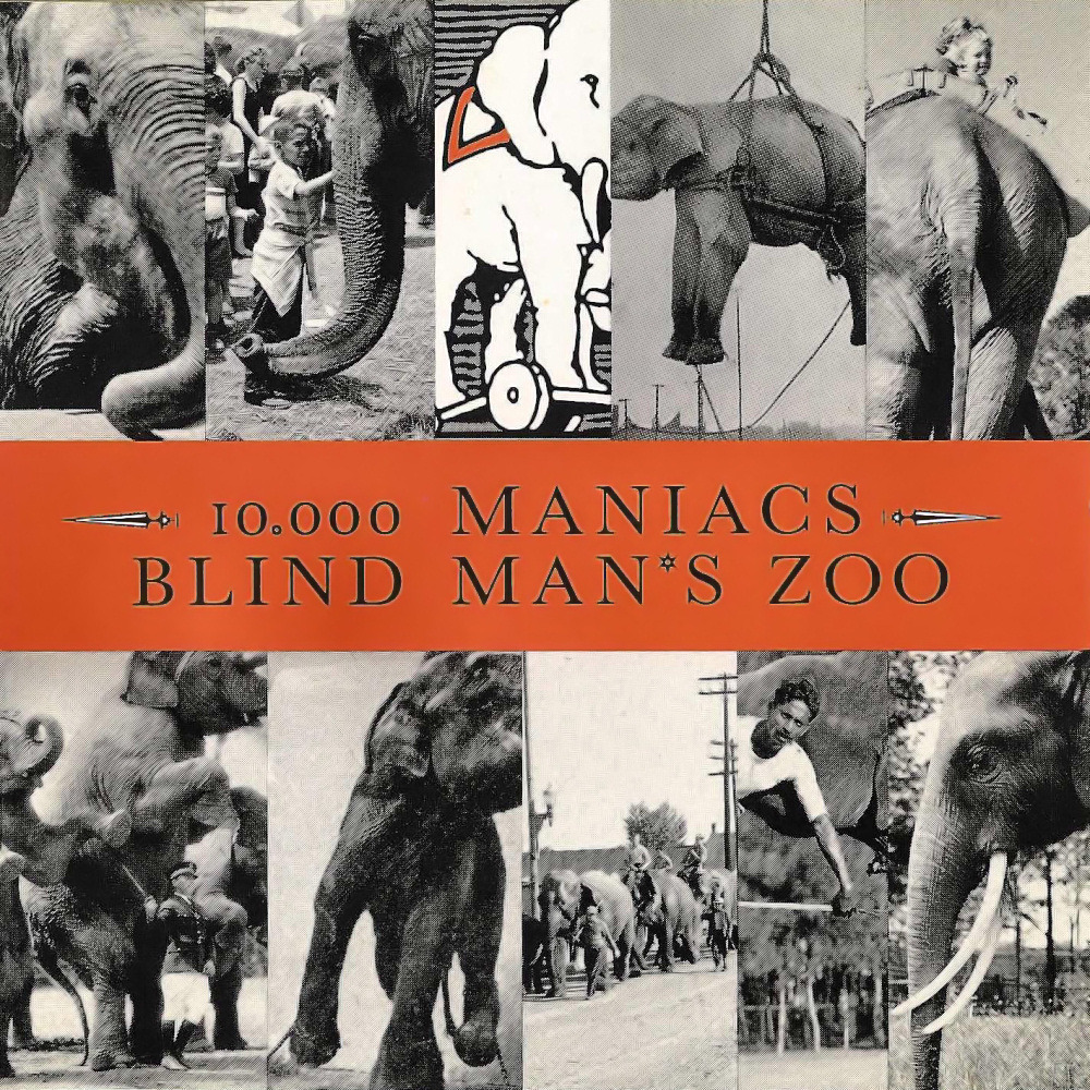 10,000 Maniacs - Blind Man's Zoo - Tekst piosenki, lyrics | Tekściki.pl