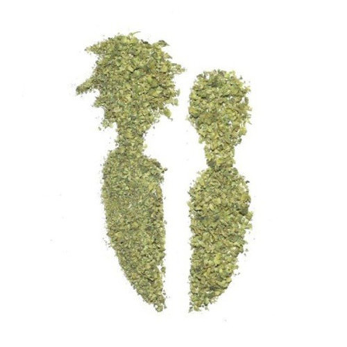 2Fingz - La Folie des Glandeurs - Tekst piosenki, lyrics | Tekściki.pl