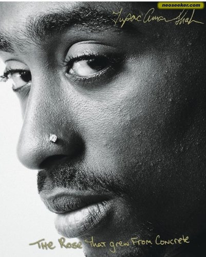 2Pac - The Rose That Grew From Concrete Vol. 1 - Tekst piosenki, lyrics | Tekściki.pl