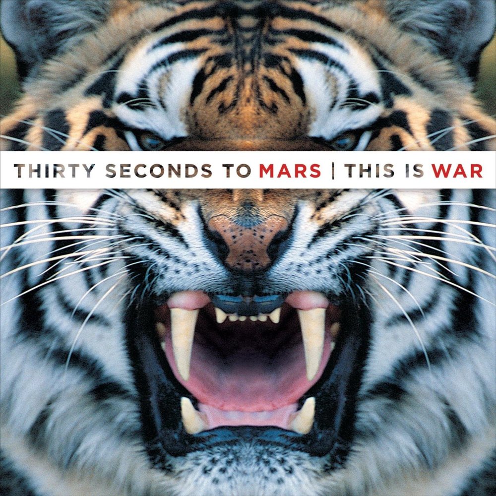 30 Seconds To Mars - This Is War - Tekst piosenki, lyrics | Tekściki.pl