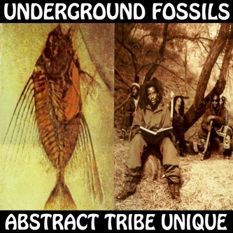 Abstract Rude - Underground Fossils - Tekst piosenki, lyrics | Tekściki.pl