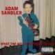 Adam Sandler - What the Hell Happened to Me? - Tekst piosenki, lyrics | Tekściki.pl