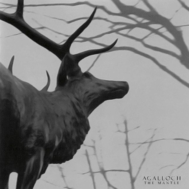 Agalloch - The Mantle - Tekst piosenki, lyrics | Tekściki.pl