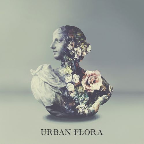 Alina Baraz & Galimatias - Urban Flora - Tekst piosenki, lyrics | Tekściki.pl