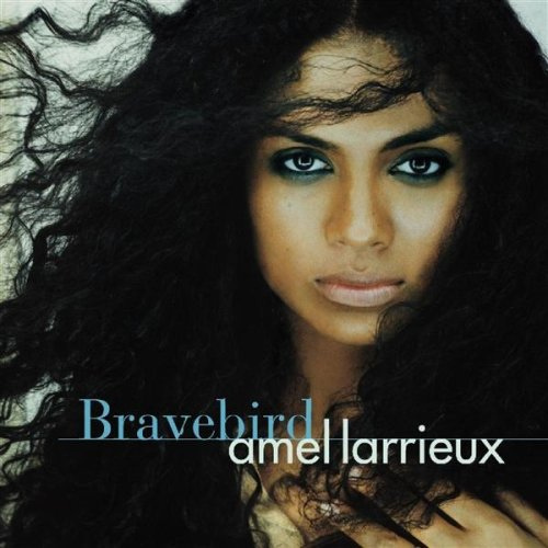 Amel Larrieux - Bravebird - Tekst piosenki, lyrics | Tekściki.pl