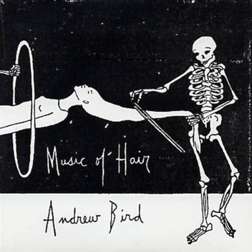 Andrew Bird - Music of Hair - Tekst piosenki, lyrics | Tekściki.pl