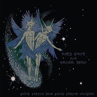 Animal Collective - Spirit They're Gone, Spirit They've Vanished - Tekst piosenki, lyrics | Tekściki.pl
