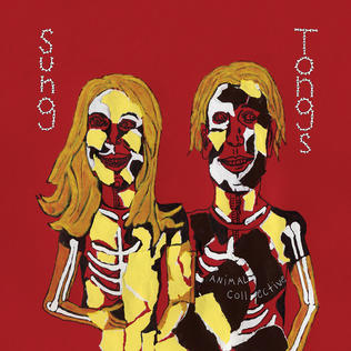 Animal Collective - Sung Tongs - Tekst piosenki, lyrics | Tekściki.pl