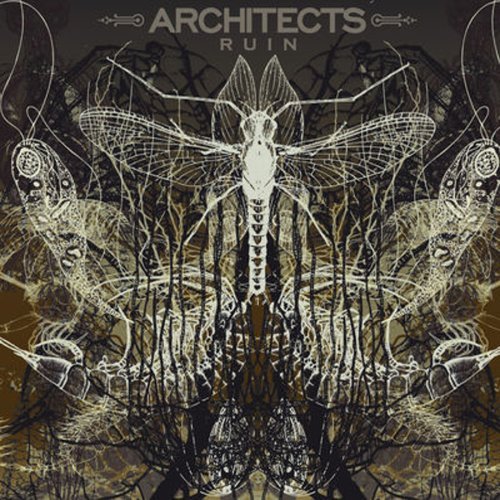 Architects - Ruin - Tekst piosenki, lyrics | Tekściki.pl