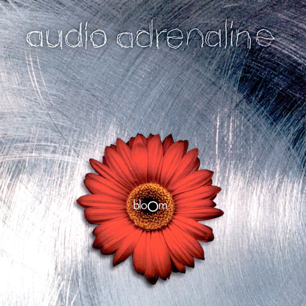 Audio Adrenaline - Bloom - Tekst piosenki, lyrics | Tekściki.pl
