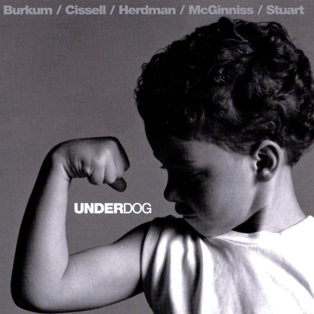 Audio Adrenaline - Underdog - Tekst piosenki, lyrics | Tekściki.pl