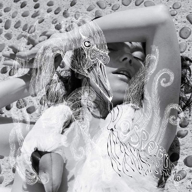 Björk - Vespertine - Tekst piosenki, lyrics | Tekściki.pl