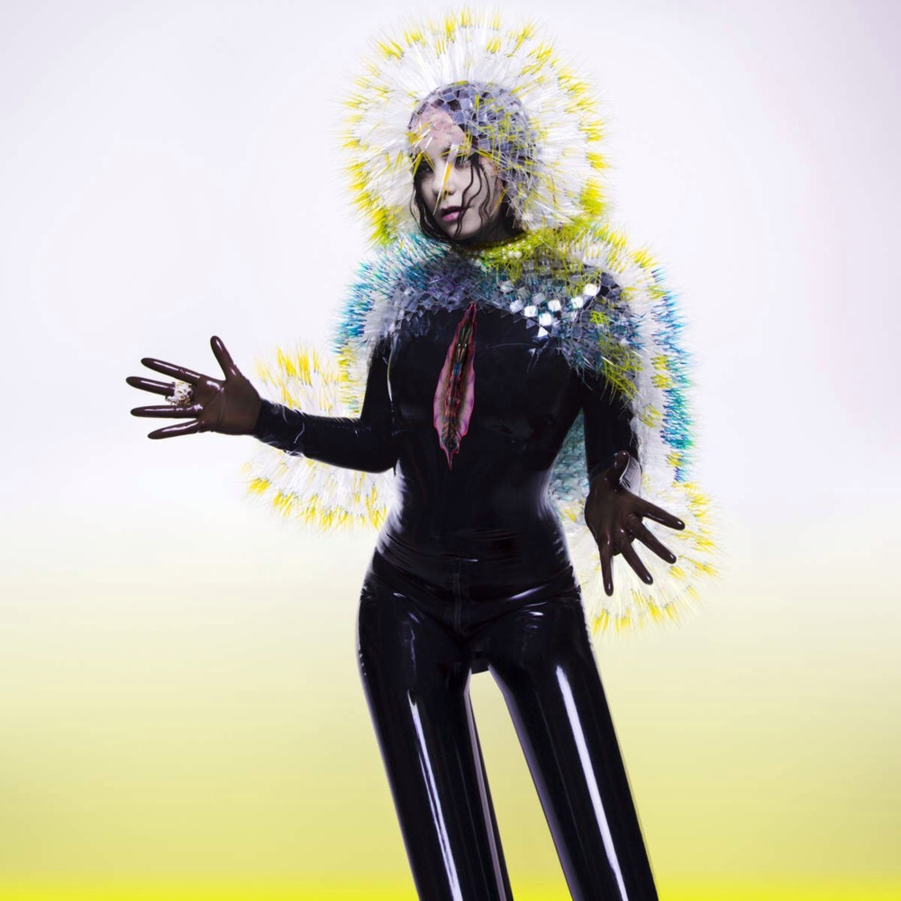 Björk - Vulnicura - Tekst piosenki, lyrics | Tekściki.pl