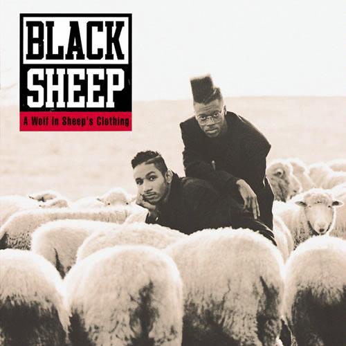 Black Sheep - A Wolf in Sheep's Clothing - Tekst piosenki, lyrics | Tekściki.pl