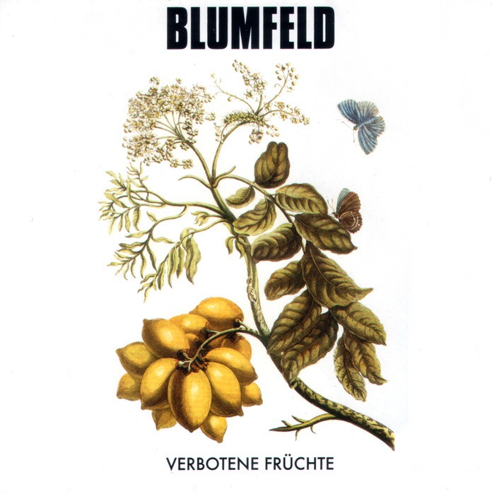 Blumfeld - Verbotene Früchte - Tekst piosenki, lyrics | Tekściki.pl