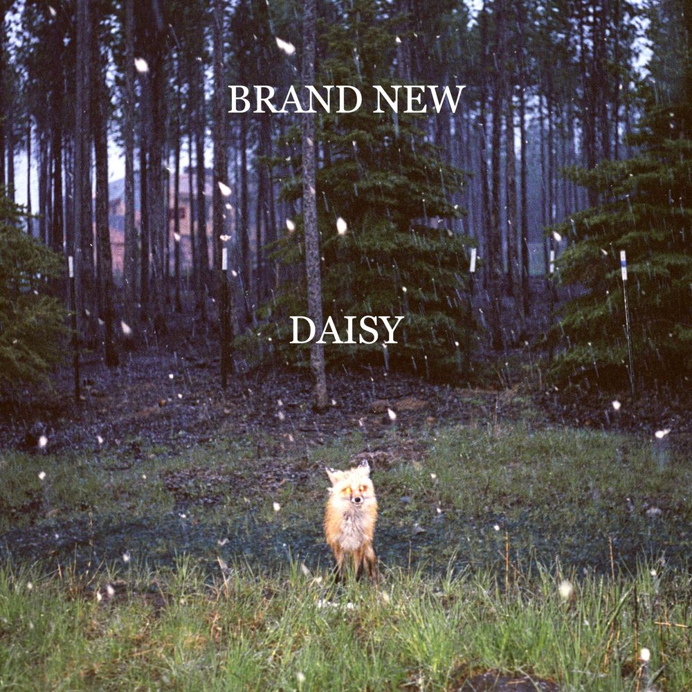 Brand New - Daisy - Tekst piosenki, lyrics | Tekściki.pl