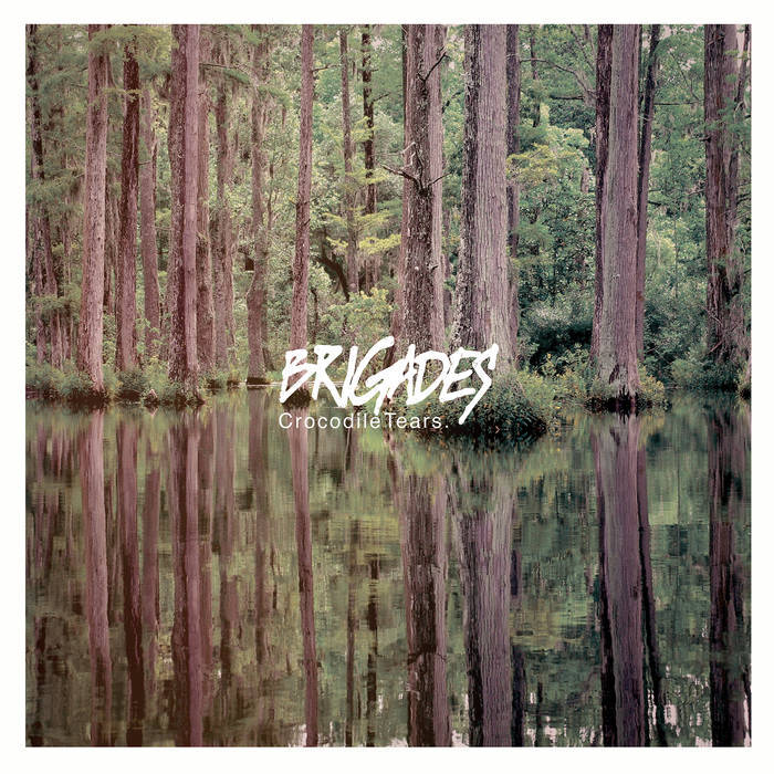 Brigades - Crocodile Tears - Tekst piosenki, lyrics | Tekściki.pl