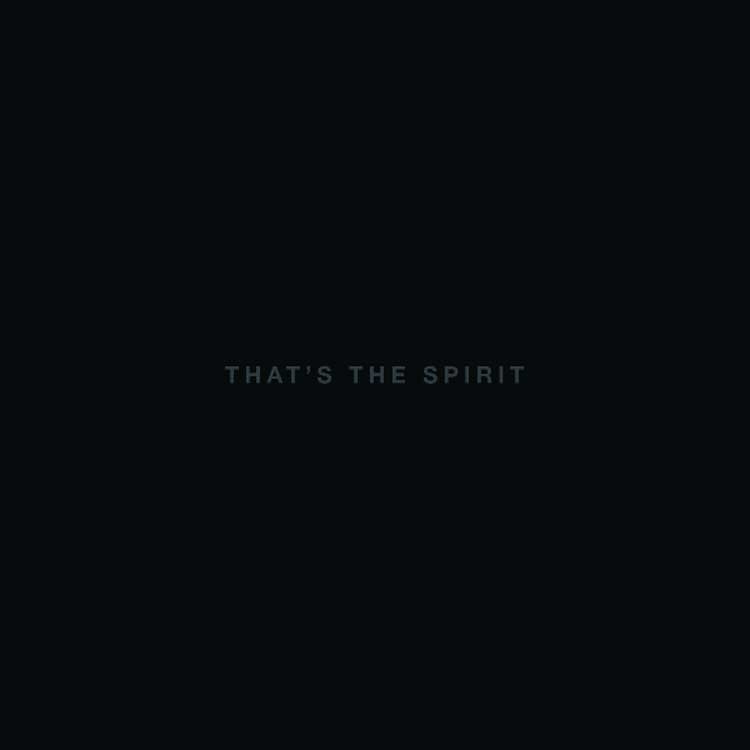 Bring Me The Horizon - That's The Spirit - Tekst piosenki, lyrics | Tekściki.pl