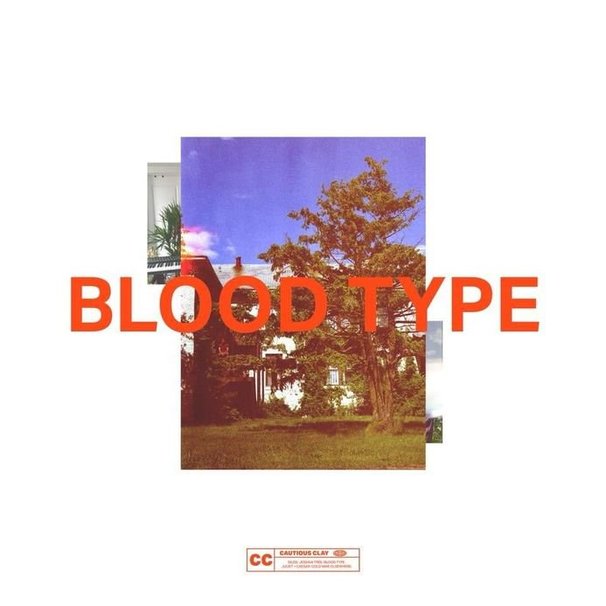 Cautious Clay - Blood Type EP - Tekst piosenki, lyrics | Tekściki.pl