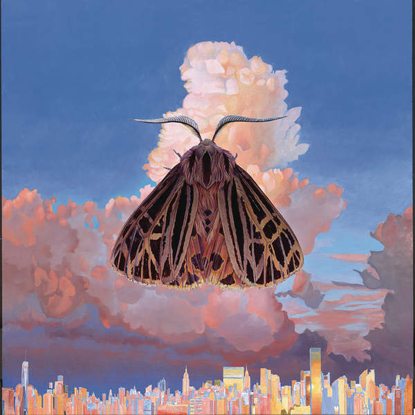 Chairlift - Moth - Tekst piosenki, lyrics | Tekściki.pl