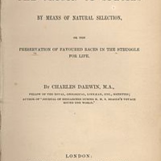 Charles Darwin - The Origin of Species - Tekst piosenki, lyrics | Tekściki.pl