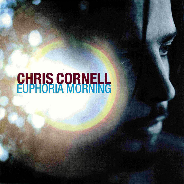 Chris Cornell - Euphoria Morning - Tekst piosenki, lyrics | Tekściki.pl