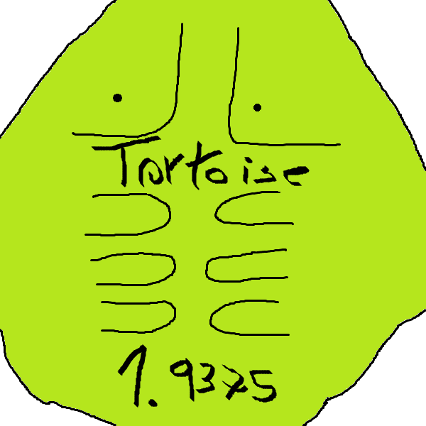 Clayton Jokythur - Tortoise 1.9375 - EP - Tekst piosenki, lyrics | Tekściki.pl