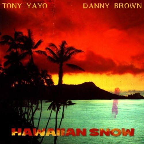 Danny Brown - Hawaiian Snow - Tekst piosenki, lyrics | Tekściki.pl