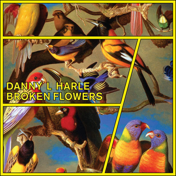 Danny L Harle - Broken Flowers EP - Tekst piosenki, lyrics | Tekściki.pl
