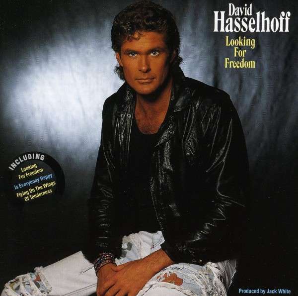 David Hasselhoff - Looking for Freedom - Tekst piosenki, lyrics | Tekściki.pl