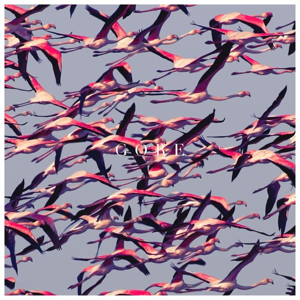 Deftones - Gore - Tekst piosenki, lyrics | Tekściki.pl