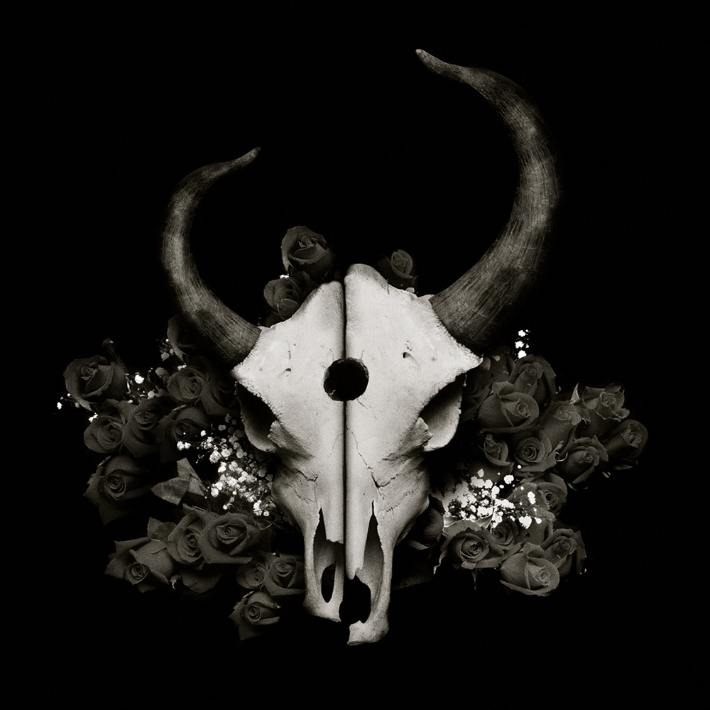 Demon Hunter - Summer Of Darkness - Tekst piosenki, lyrics | Tekściki.pl