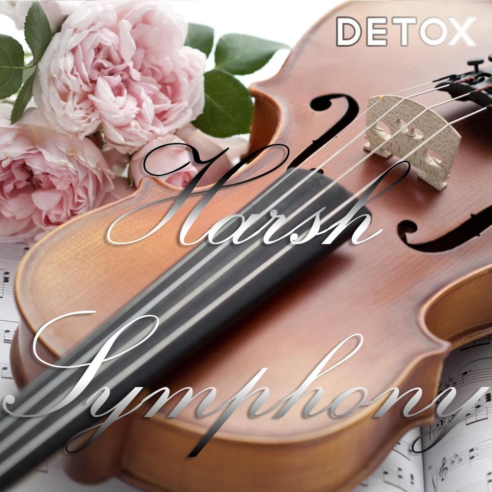 Detox - Harsh Symphony - Tekst piosenki, lyrics | Tekściki.pl