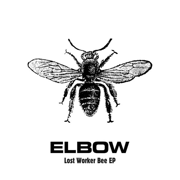 Elbow - Lost Worker Bee EP - Tekst piosenki, lyrics | Tekściki.pl