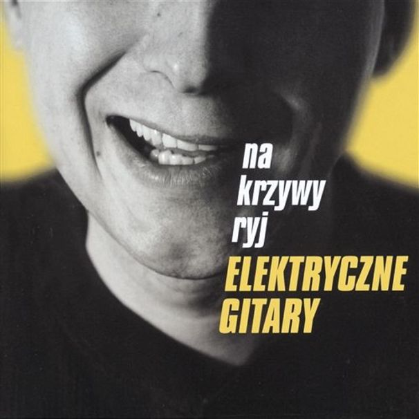 Elektryczne Gitary - Na krzywy ryj - Tekst piosenki, lyrics | Tekściki.pl