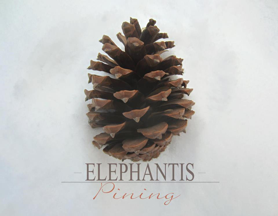 Elephantis - Pining - Tekst piosenki, lyrics | Tekściki.pl