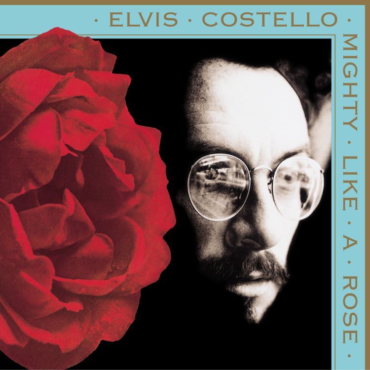 Elvis Costello - Mighty Like A Rose - Tekst piosenki, lyrics | Tekściki.pl