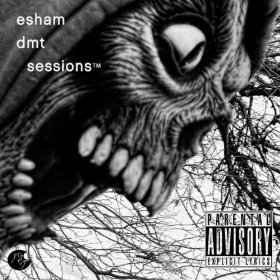 Esham - DMT Sessions - Tekst piosenki, lyrics | Tekściki.pl