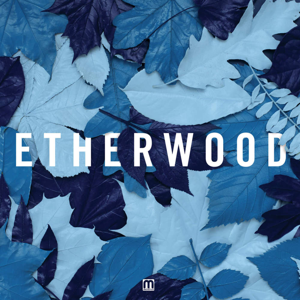 Etherwood - Blue Leaves - Tekst piosenki, lyrics | Tekściki.pl