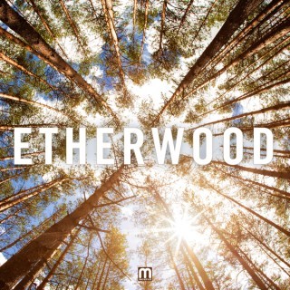 Etherwood - Etherwood - Tekst piosenki, lyrics | Tekściki.pl