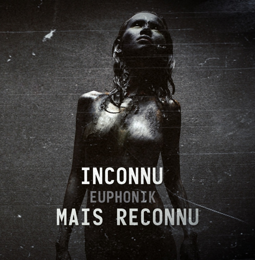 Euphonik - INCONNU MAIS RECONNU - Tekst piosenki, lyrics | Tekściki.pl