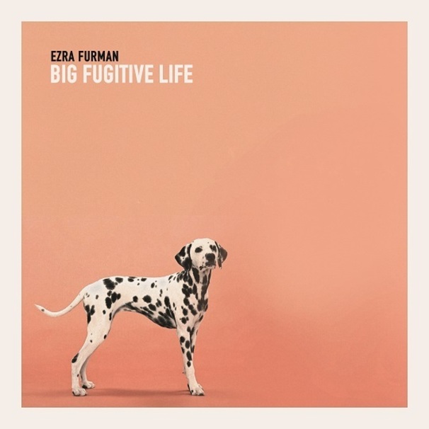 Ezra Furman - Big Fugitive Life - Tekst piosenki, lyrics | Tekściki.pl