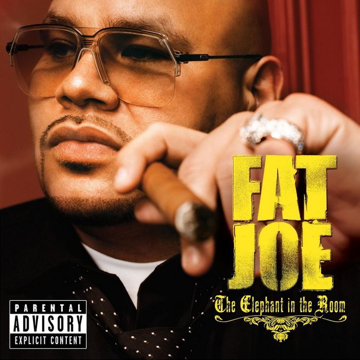 Fat Joe - The Elephant in the Room - Tekst piosenki, lyrics | Tekściki.pl