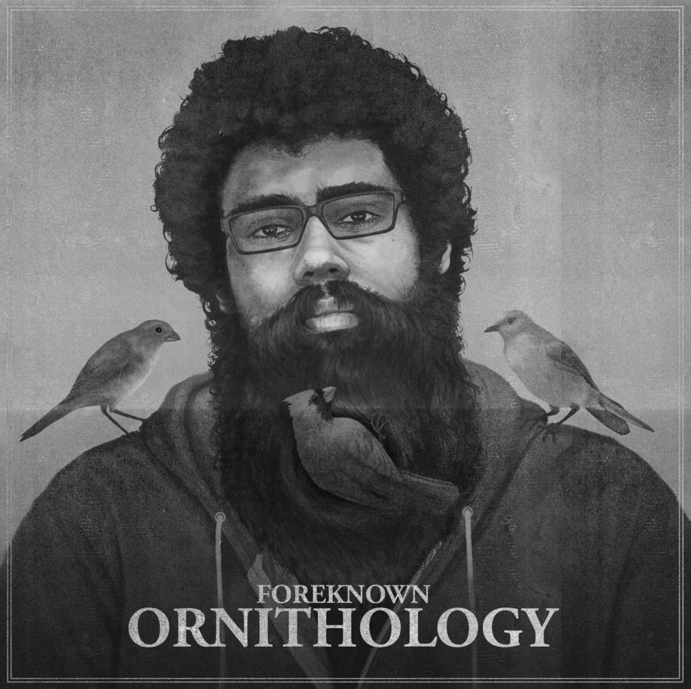 Foreknown - Ornithology - Tekst piosenki, lyrics | Tekściki.pl