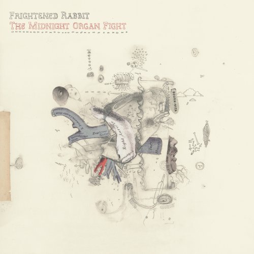 Frightened Rabbit - The Midnight Organ Fight - Tekst piosenki, lyrics | Tekściki.pl