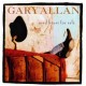 Gary Allan - Used Heart For Sale - Tekst piosenki, lyrics | Tekściki.pl
