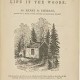 Henry David Thoreau - Walden - Tekst piosenki, lyrics | Tekściki.pl