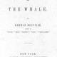 Herman Melville - Moby-Dick - Tekst piosenki, lyrics | Tekściki.pl