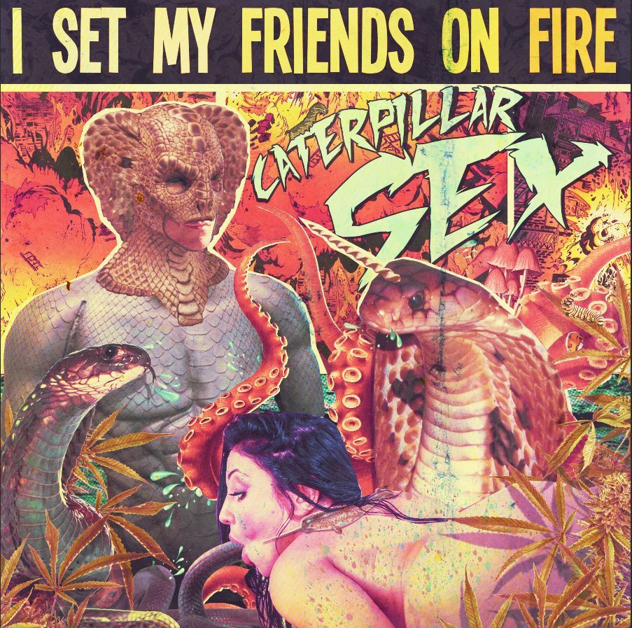 I Set My Friends On Fire - Caterpillar Sex - Tekst piosenki, lyrics | Tekściki.pl