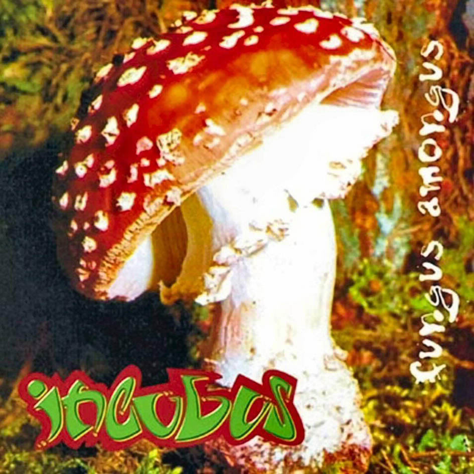 Incubus - The Fungus Amongus - Tekst piosenki, lyrics | Tekściki.pl